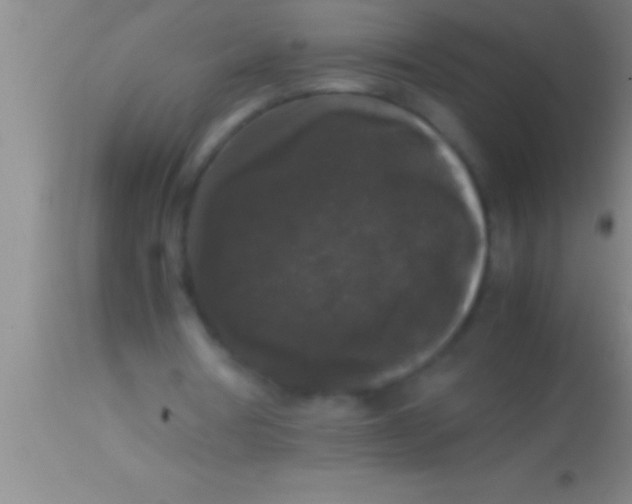 X0000113950386200910161944