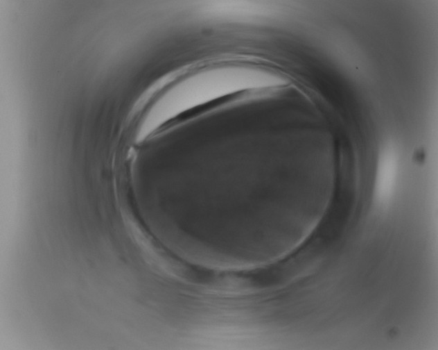 X0000113950387200910161944