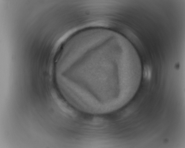 X0000113950388200910161944
