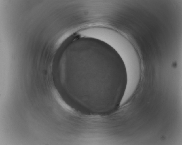 X0000113950389200910161944