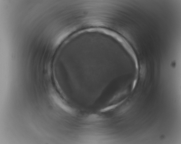 X0000113950390200910161944