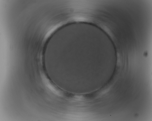 X0000113950391200910161944