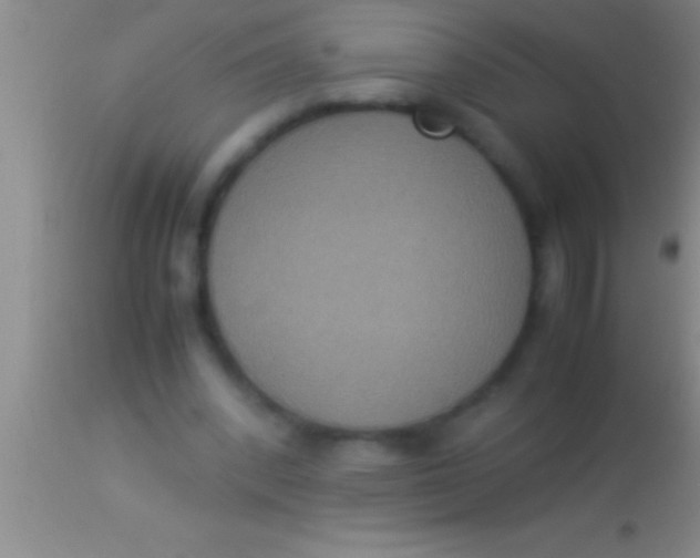 X0000113950392200910161944