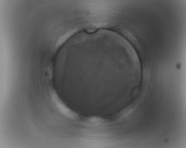 X0000113950393200910161944