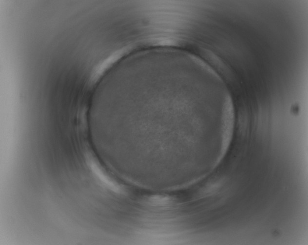 X0000113950394200910161944