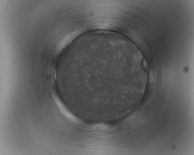 X0000113950397200910161944
