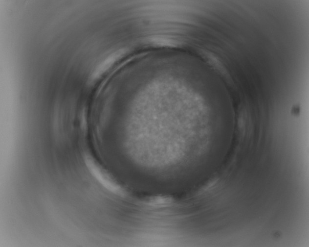 X0000113950398200910161944