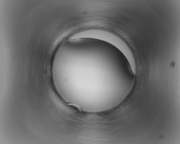 X0000113950399200910161944