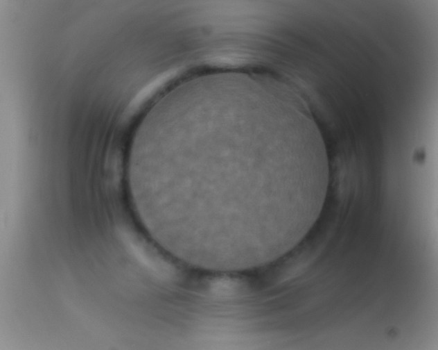 X0000113950400200910161944