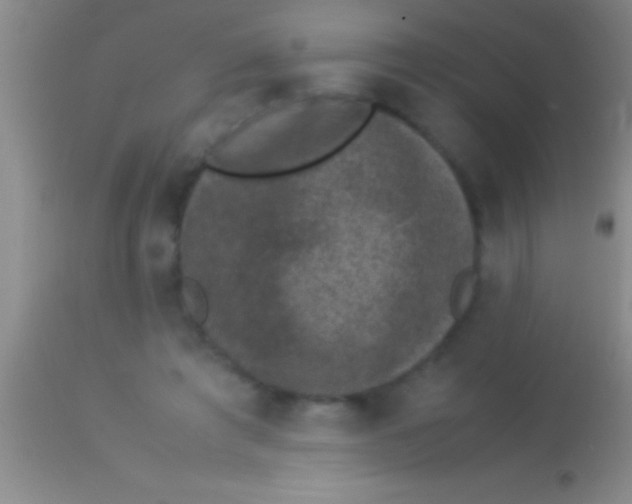 X0000113950401200910161944