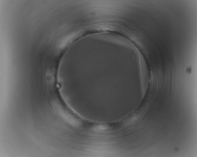 X0000113950402200910161944