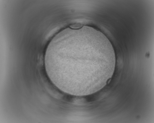 X0000113950403200910161944