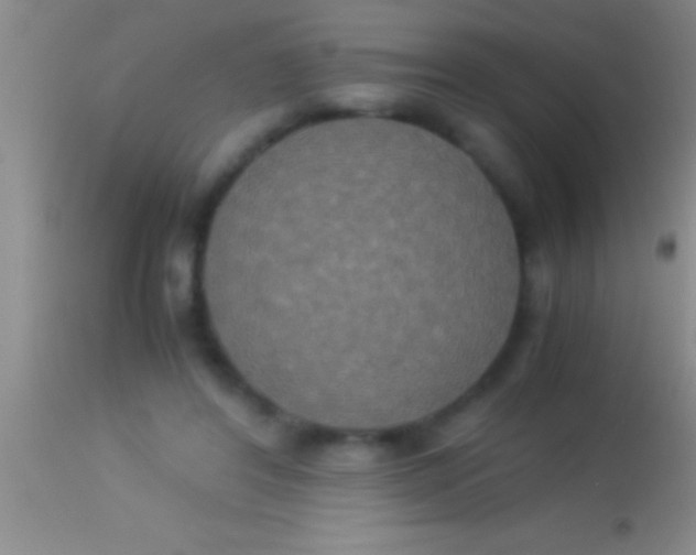 X0000113950404200910161944