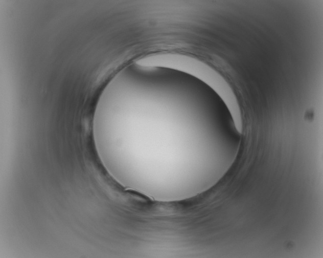X0000113950405200910161944