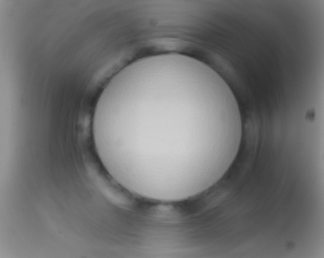 X0000113950406200910161944