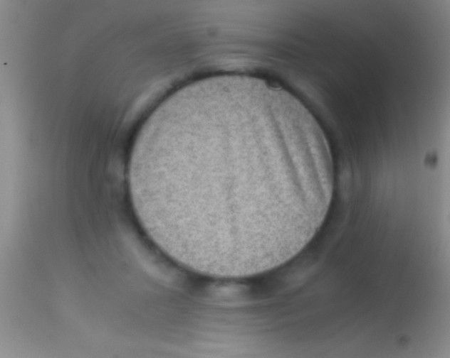 X0000113950407200910161944