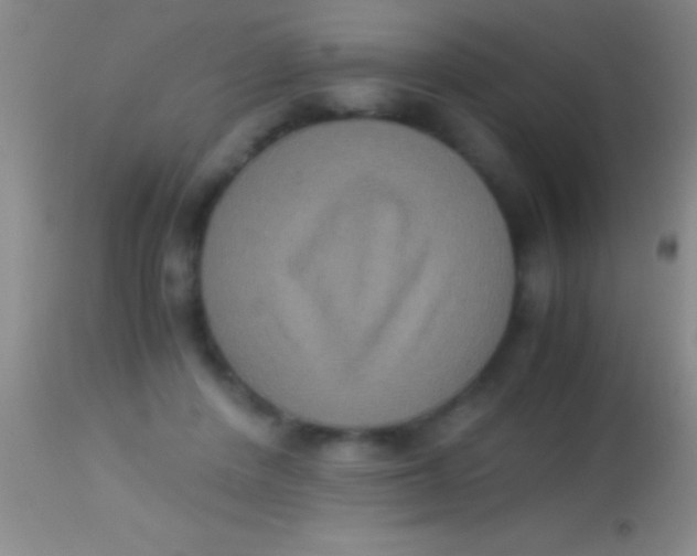 X0000113950408200910161944