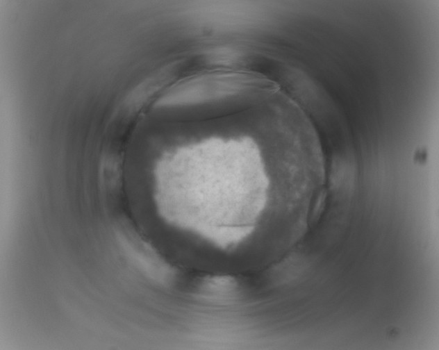X0000113950409200910161944