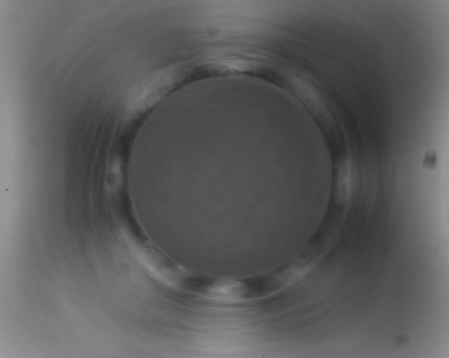 X0000113950410200910161944