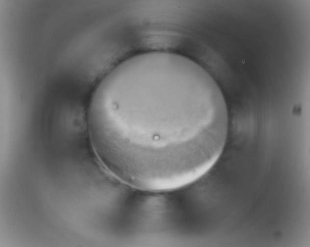 X0000113950411200910161944