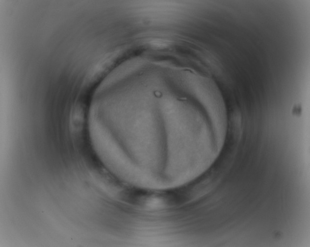 X0000113950412200910161944
