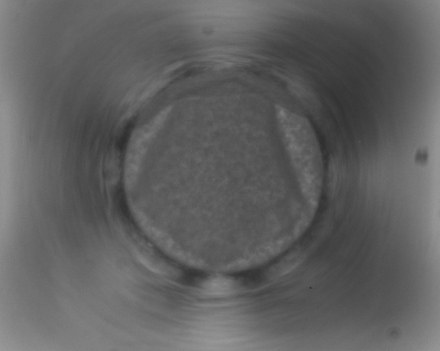 X0000113950413200910161944