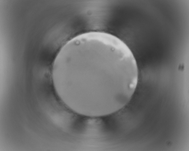 X0000113950415200910161944