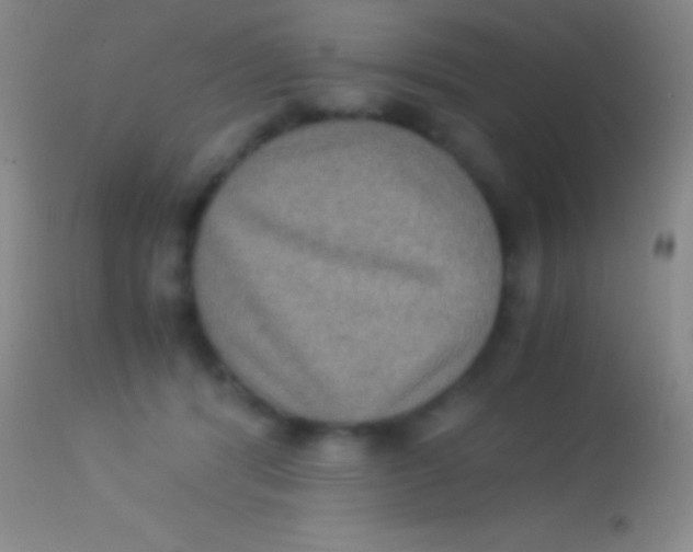 X0000113950416200910161944