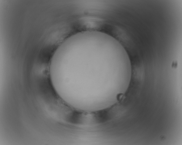 X0000113950419200910161944