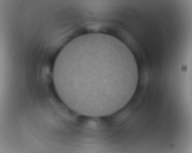 X0000113950420200910161944