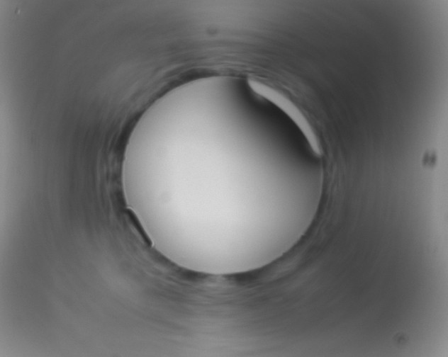 X0000113950421200910161944