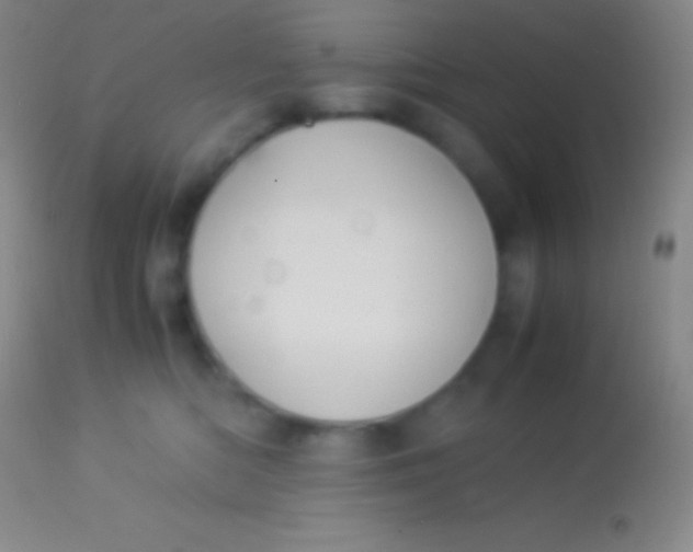 X0000113950422200910161944