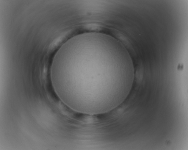 X0000113950424200910161944