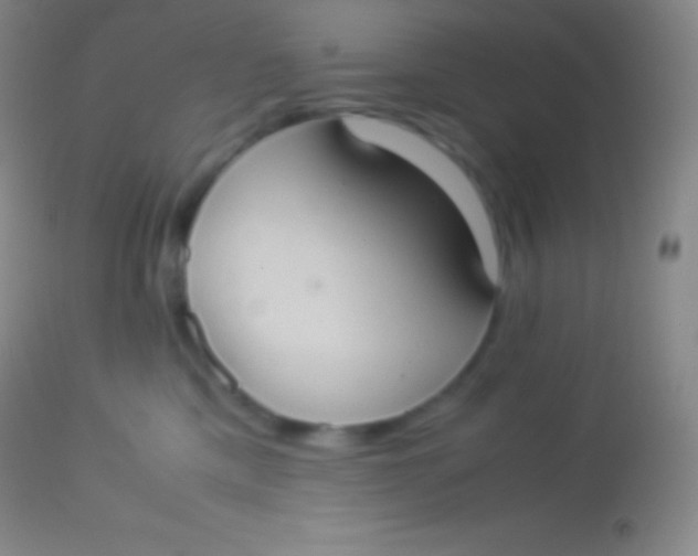 X0000113950425200910161944