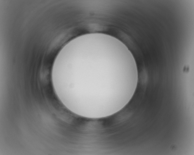 X0000113950426200910161944