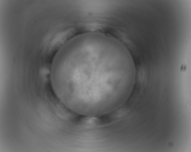 X0000113950427200910161944