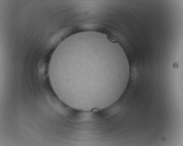 X0000113950428200910161944