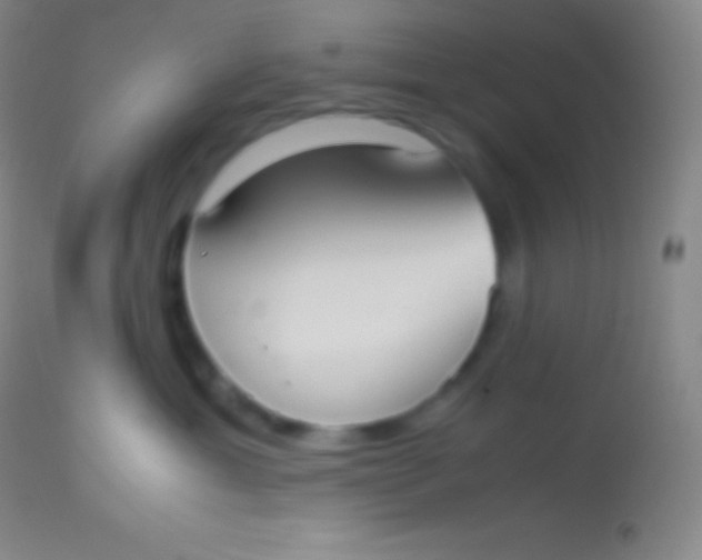 X0000113950429200910161944
