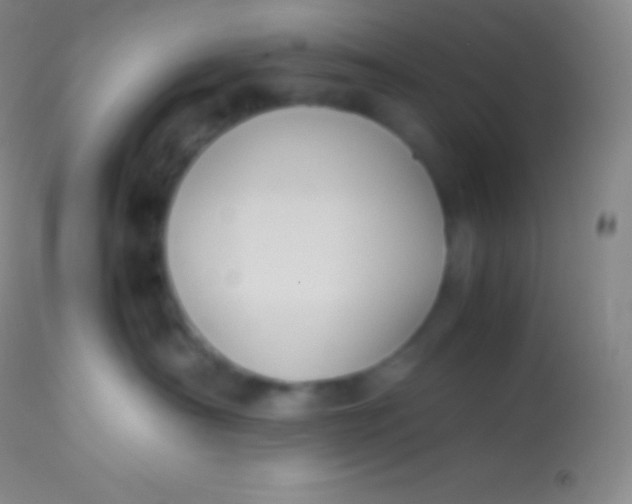 X0000113950430200910161944