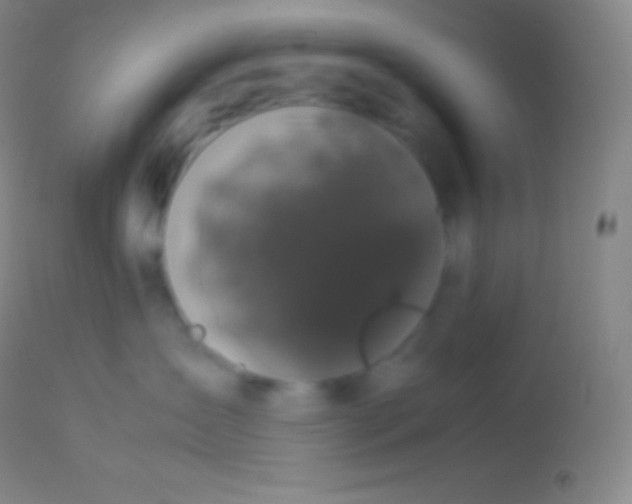 X0000113950431200910161944