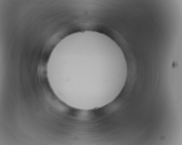 X0000113950432200910161944