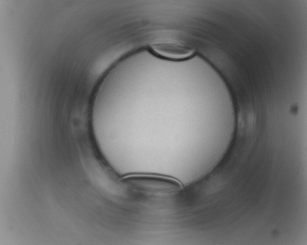 X0000113950436200910161943