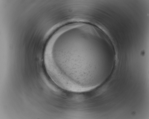 X0000113950438200910161943