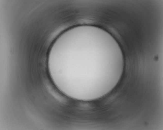 X0000113950439200910161943