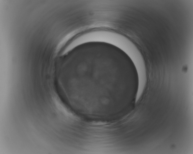 X0000113950440200910161943