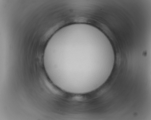 X0000113950441200910161943