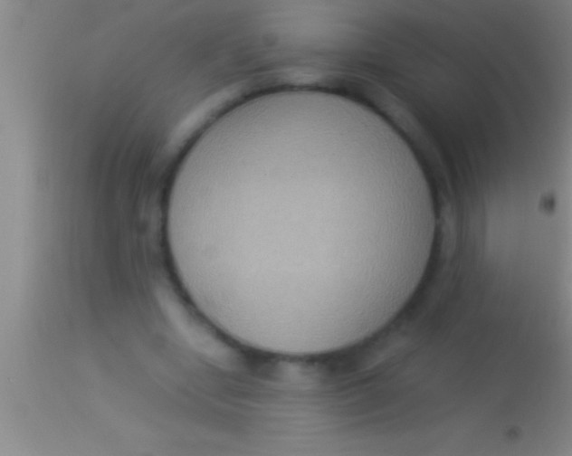 X0000113950442200910161943