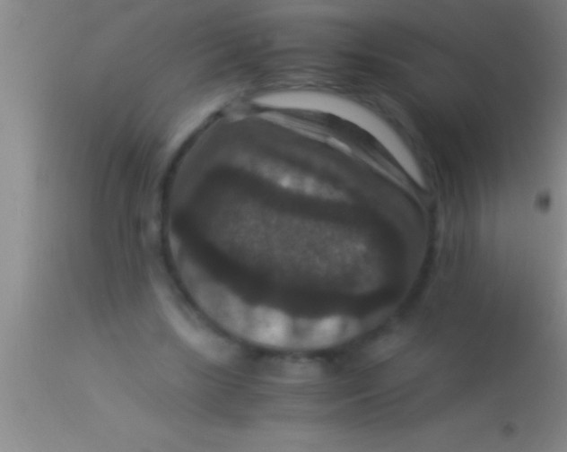 X0000113950443200910161943