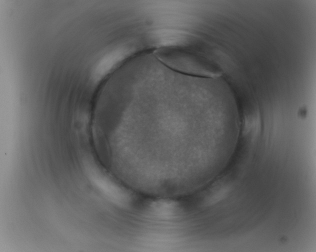 X0000113950444200910161943