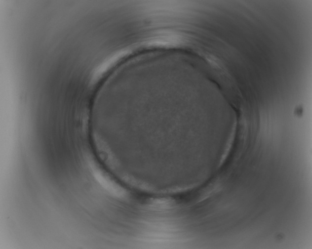 X0000113950446200910161943